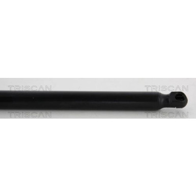 Gasfeder, Koffer-/Laderaum | 871024242