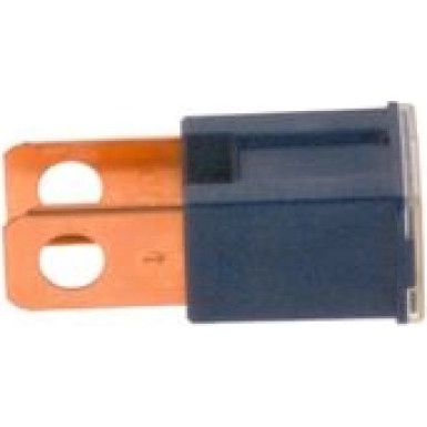 1 987 529 074 Sicherung