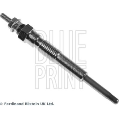 BluePrint Glühkerze BluePrint Glühkerze