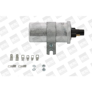 BorgWarner (BERU) Zündspule | ZS569