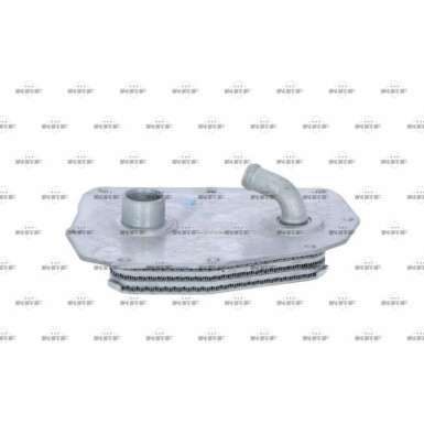 Ölkühler, Motor“L | 31352