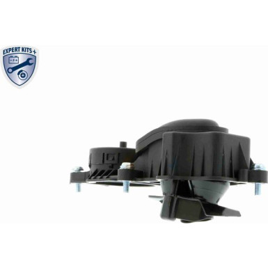 VAICO Ventil, Kurbelgehäuseentlüftung V20-0956 Expert Kits +