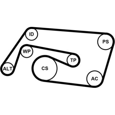 Continental CTAM Satz Gürtel 6PK2260K2