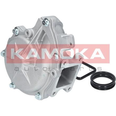 KAMOKA Wasserpumpe | T0049