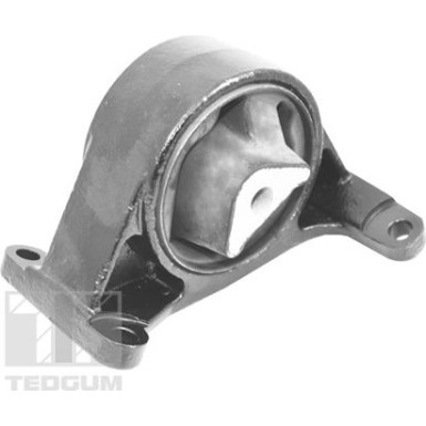 TEDGUM_TD Lagerung, Motor TED11987