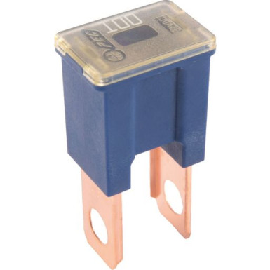 1 987 529 074 Sicherung