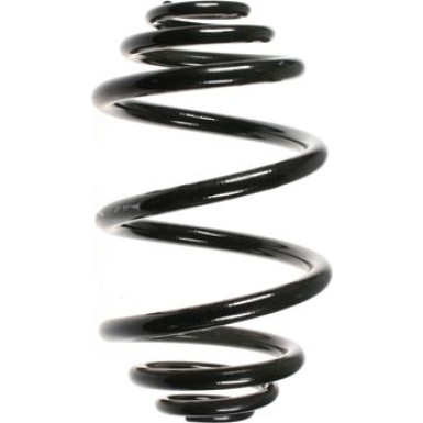 SPIDAN Fahrwerksfeder 48045 SPIDAN Fahrwerksfeder 48045