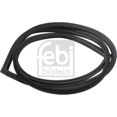 FEBI BILSTEIN Dichtung, Heckscheibe FEBI BILSTEIN Dichtung, Heckscheibe