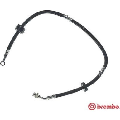 BREMBO Bremsschlauch BREMBO Bremsschlauch