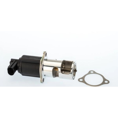 BorgWarner (Wahler) AGR-Ventil | 710950D/1