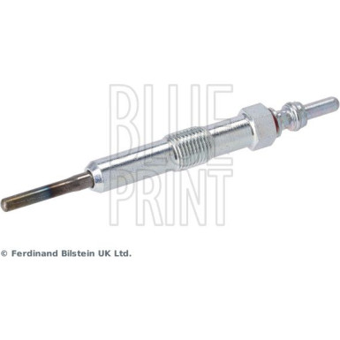 BluePrint Glühkerze BluePrint Glühkerze