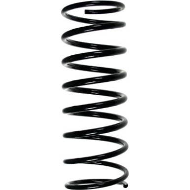SPIDAN Fahrwerksfeder | 49034