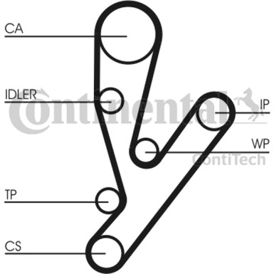 Wasserpumpe + Zahnriemensatz | CT1148WP1 Wasserpumpe + Zahnriemensatz | CT1148WP1