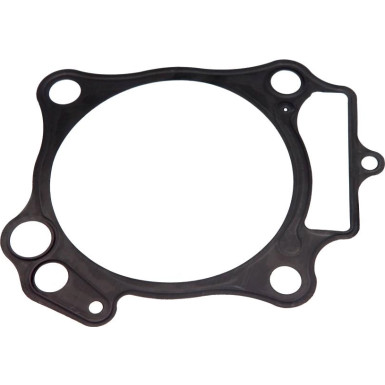 Zylinderfussdichtung Moto Honda Trx 450 R 2004-2005 (1 Element) | 666B06150