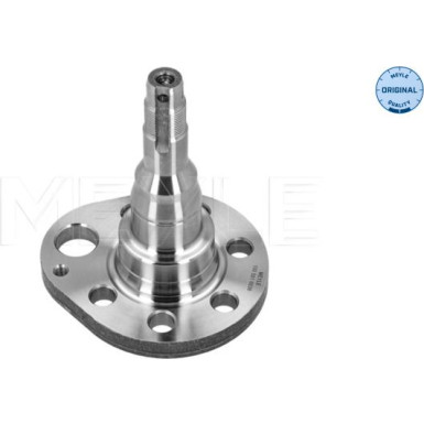 17 325 016 Achsschenkel HA re AUDI,SEAT,SKODA,VW MEYLE-ORIGINAL: True to OE 1005010036