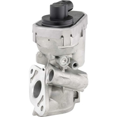 WAHLER AGR-Ventil | 710925R