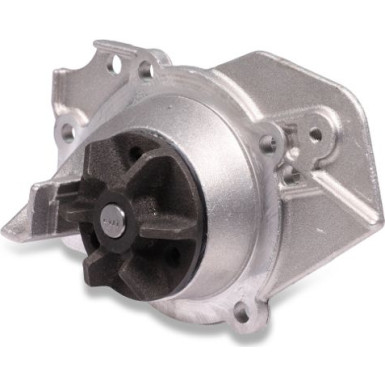 HEPU Wasserpumpe P816