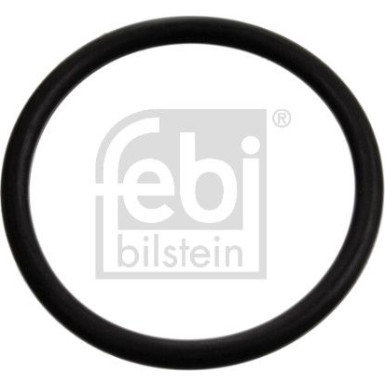 Dichtung, Thermostat | 17970 Dichtung, Thermostat | 17970