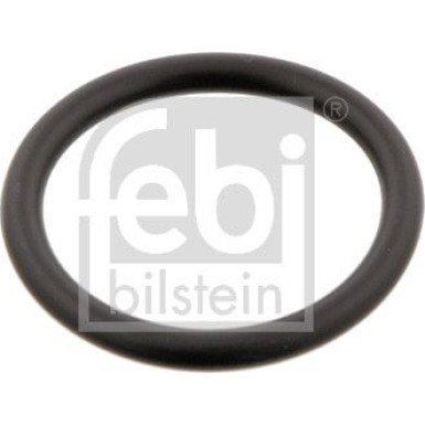 Dichtring, Kühlmittelrohrleitu | 29752 Dichtring, Kühlmittelrohrleitu | 29752