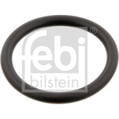 Dichtring, Kühlmittelrohrleitu | 29752