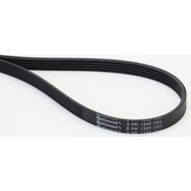 Keilrippenriemen | 5PK1245 Keilrippenriemen | 5PK1245