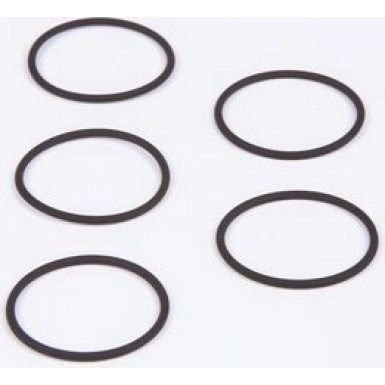 O-Ring | Diverse | F 00R J00 220