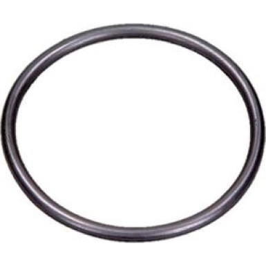 O-Ring | Diverse | F 01M 100 114