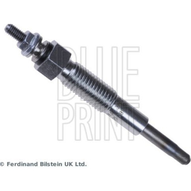 BluePrint Glühkerze BluePrint Glühkerze