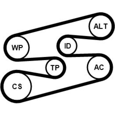 CONTINENTAL CTAM Keilrippenriemensatz 6PK1780K2