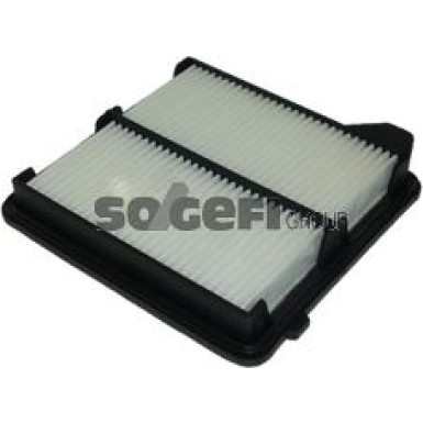 FRAM Luftfilter CA10490