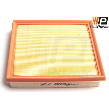 PROFIPOWER Luftfilter | 2F0265