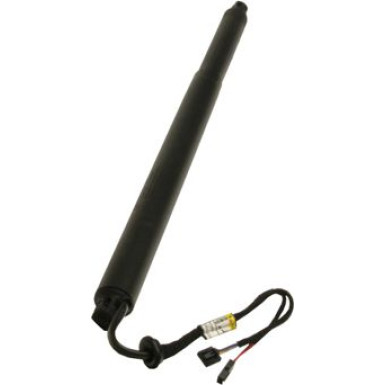 Gasfeder, Koffer-/Laderaum | 243953
