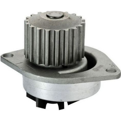 DENCKERMANN Wasserpumpe | A310126P