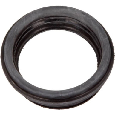 Luftfilterdichtung Fiat Doblo, Panda, Punto, Seicento 1.1/1.2 | 46528828