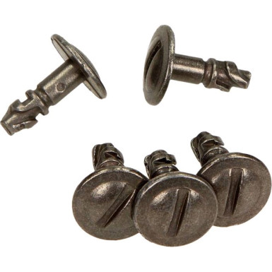 Motorabdeckungsschraube VW Passat B5/A100/A4-A8/Superb 02-08 Set Mit C10133 Grosspackung (5 Stück) | C10126