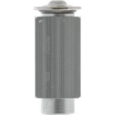 MAHLE Expansionsventil, Klimaanlage | AVE 102 000P