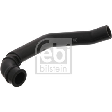 FEBI BILSTEIN Schlauch | 33848