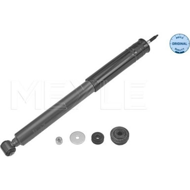 Stoßdämpfer | 267250020