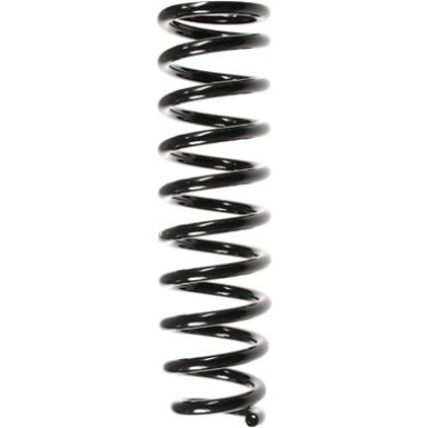 SPIDAN Fahrwerksfeder SPIDAN Fahrwerksfeder