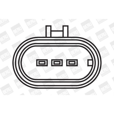 BorgWarner (BERU) Zündspule BorgWarner (BERU) Zündspule