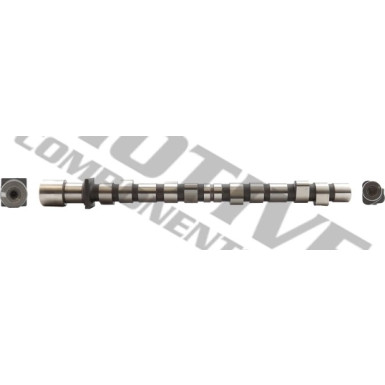 Nockenwelle | T8061