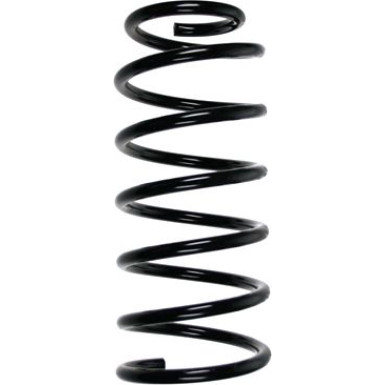 SPIDAN Fahrwerksfeder SPIDAN Fahrwerksfeder