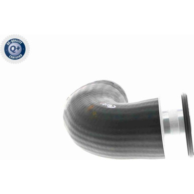 VAICO Ladeluftschlauch V10-2874