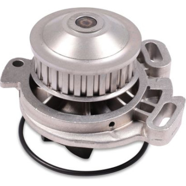 HEPU Wasserpumpe P526