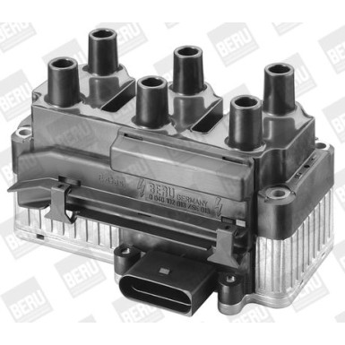 BorgWarner (BERU) Zündspule | ZSE013