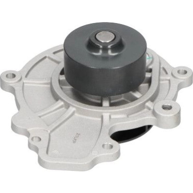 Wasserpumpe | CHEVROLET Captiva 2.0 D 07 | DW-1016