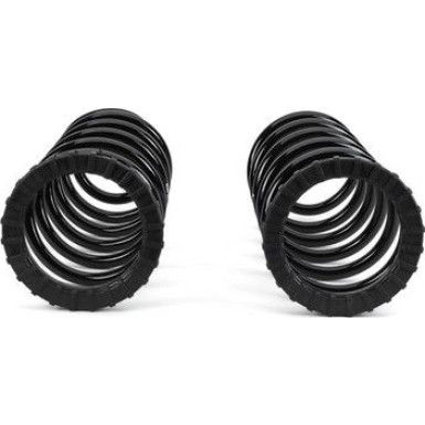 Arnott Fahrwerksfedernsatz HA | TOYOTA Land Cruiser Prado 02-09 | C-2410