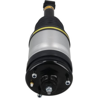 2070095 Luftfederbein 2070095 Luftfederbein