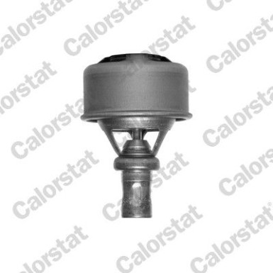 Thermostat, Kühlmittel | TH4495.86