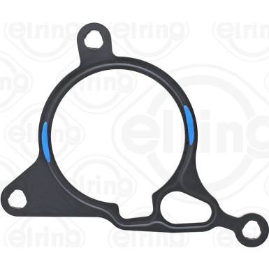 Dichtung, Unterdruckpumpe | 443.020